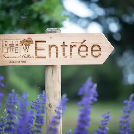 Domaine De Selhac Maison d'hôtes 4*