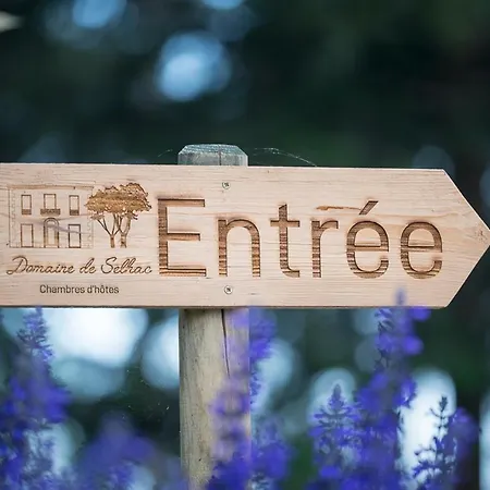 Maison d'hôtes Domaine De Selhac