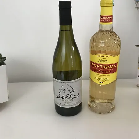 Domaine De Selhac Affittacamere Frontignan