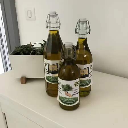בית הארחה Domaine De Selhac פרונטיניאן